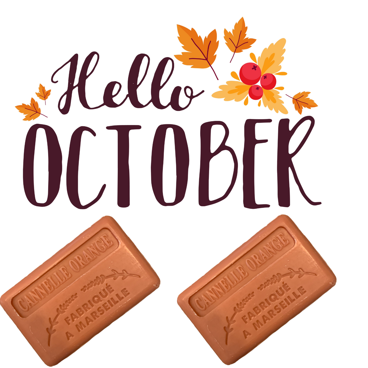 cinnamon orange french soap