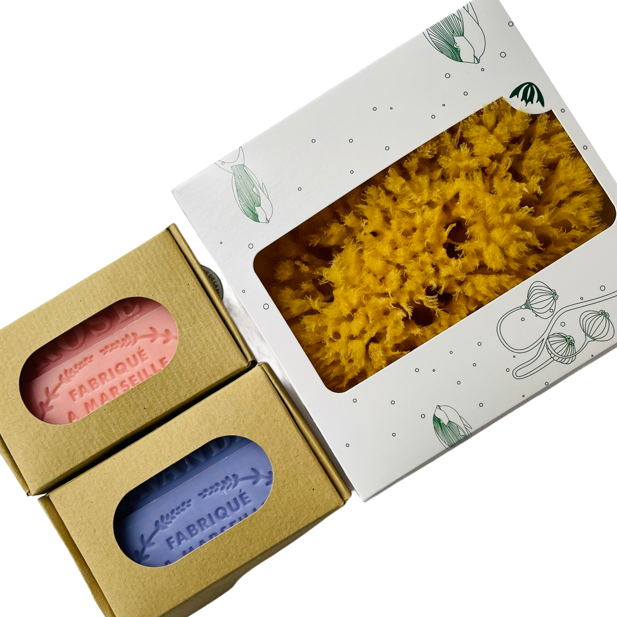 Natural Sea Sponge & French Soap Gift Set