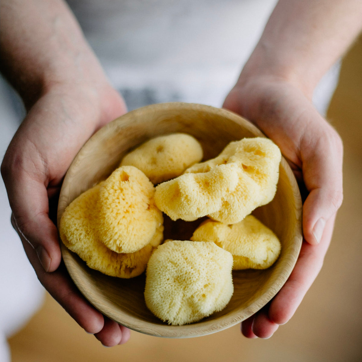 natural fine silk sea sponge