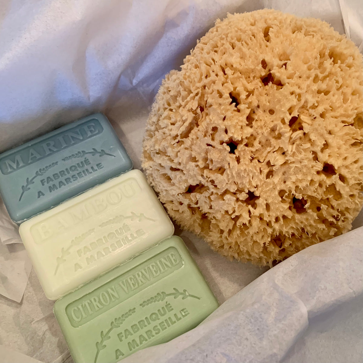 Luxury Natural Sponge & Soap Gift Set - Eco-Friendly & Sustainable
