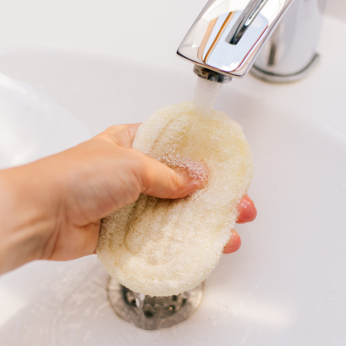 Loofah Soap Dish & Body Scrub two in one