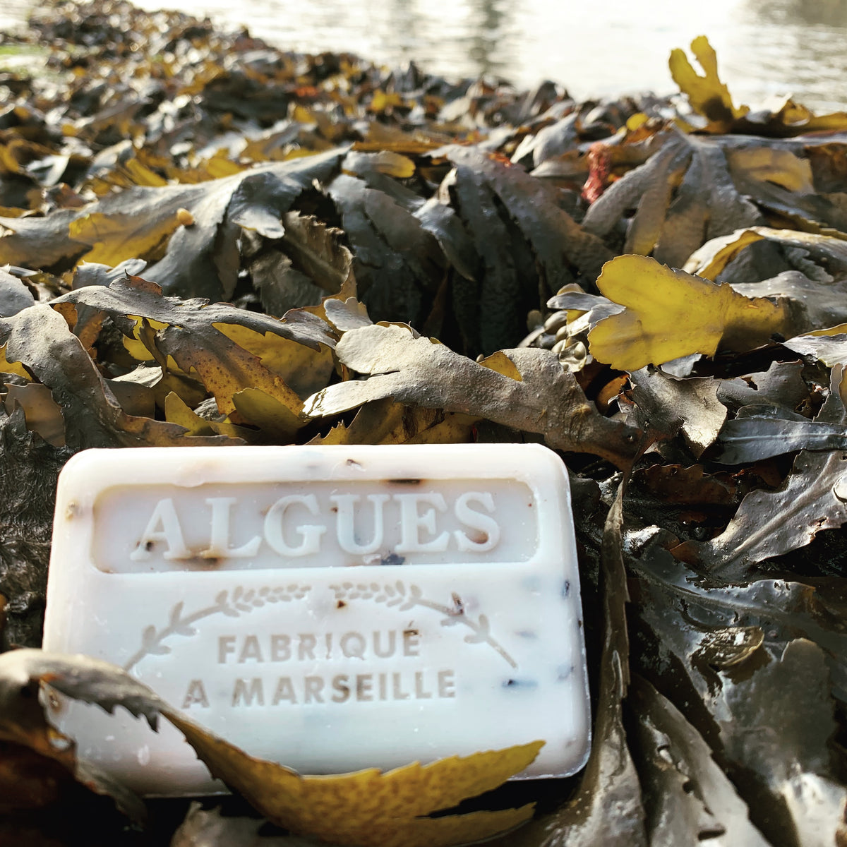 seaweed exfoliating french soap