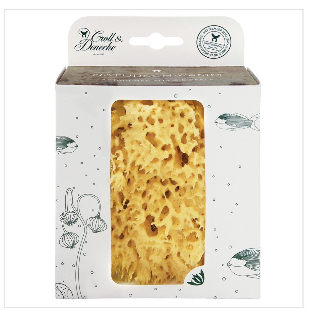 Natural Sea Sponge & French Soap Gift Set