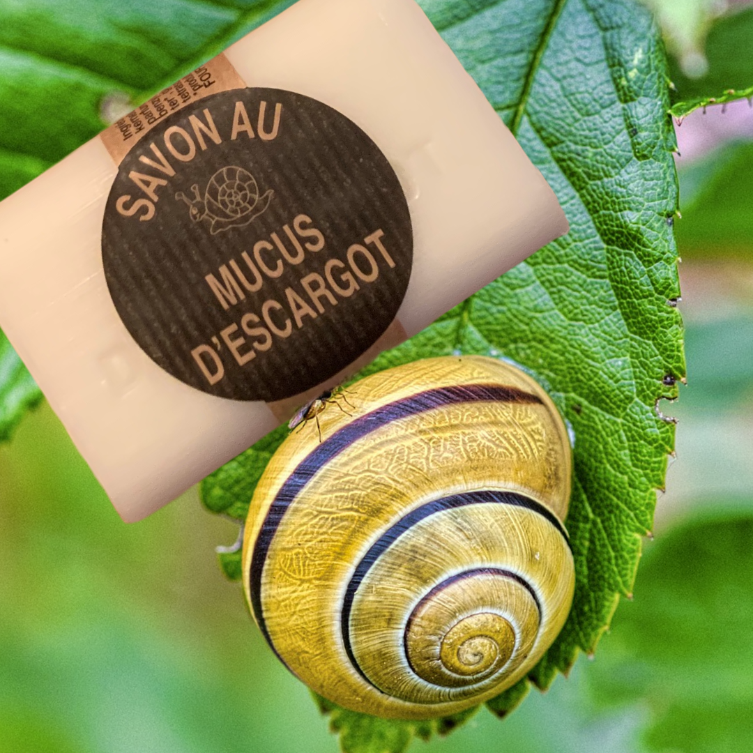 Snail slime mucus escargot soap