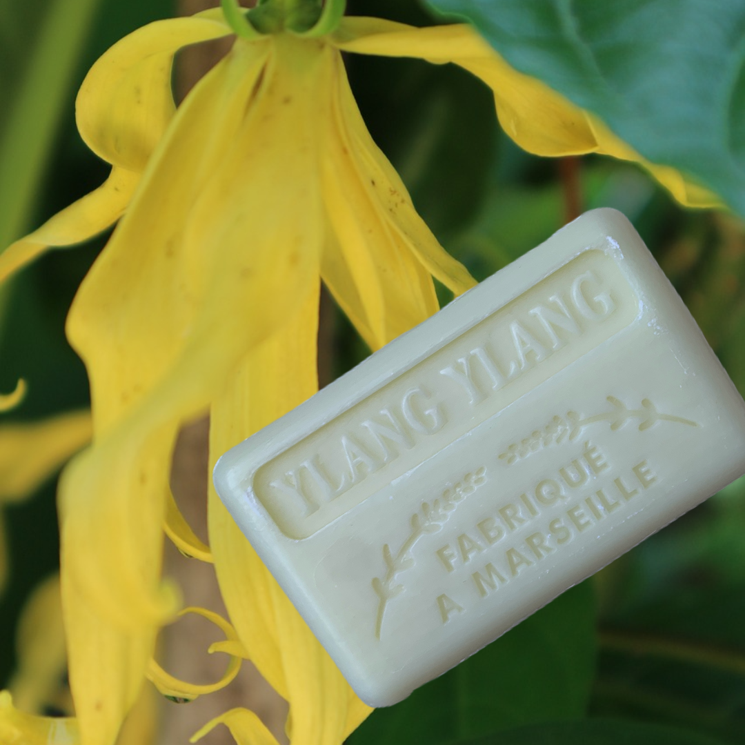 ylang ylang french soap