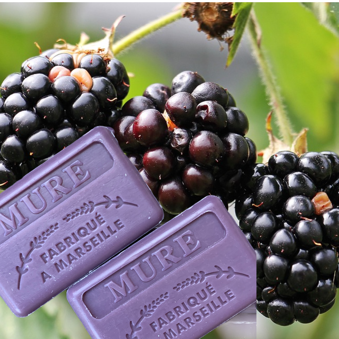 blackberry french soap