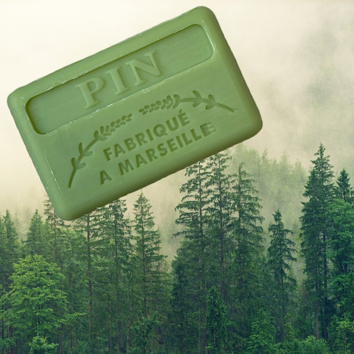 125G Savon De Marseille Woodland Pine French Soap
