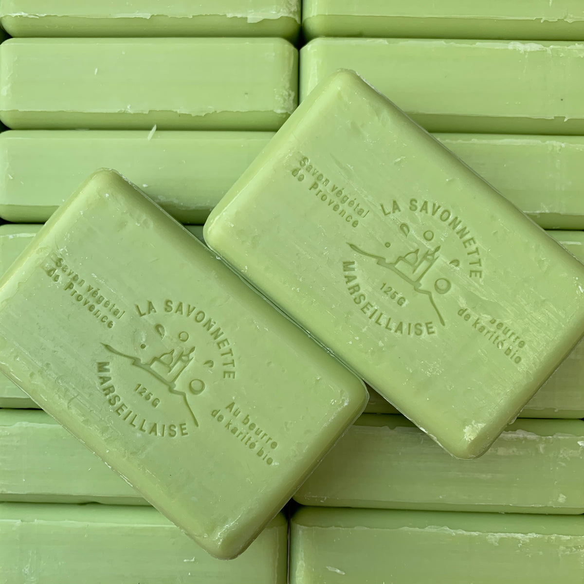 125G Savon De Marseille Woodland Pine French Soap