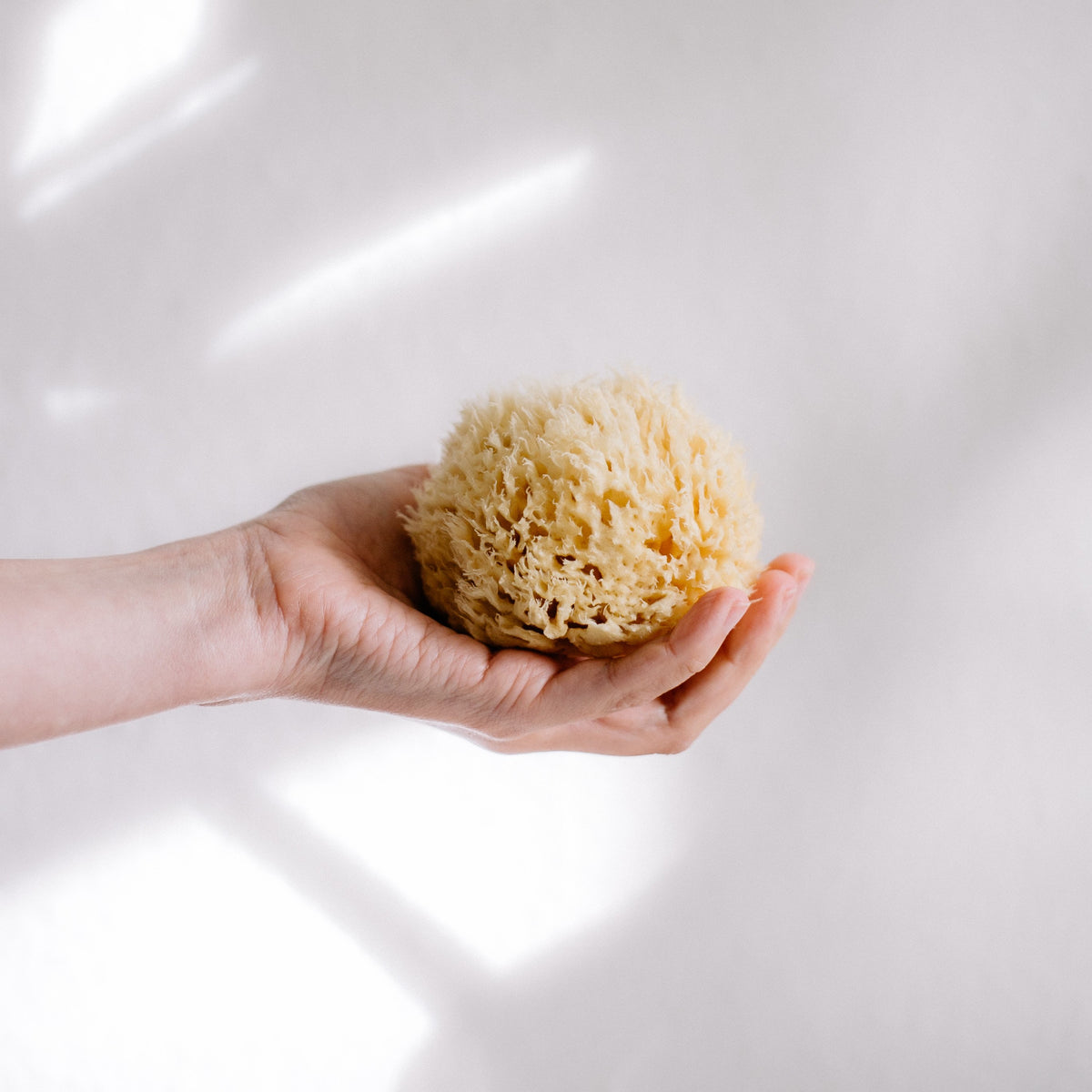 Natural Sea Sponge & French Soap Gift Set
