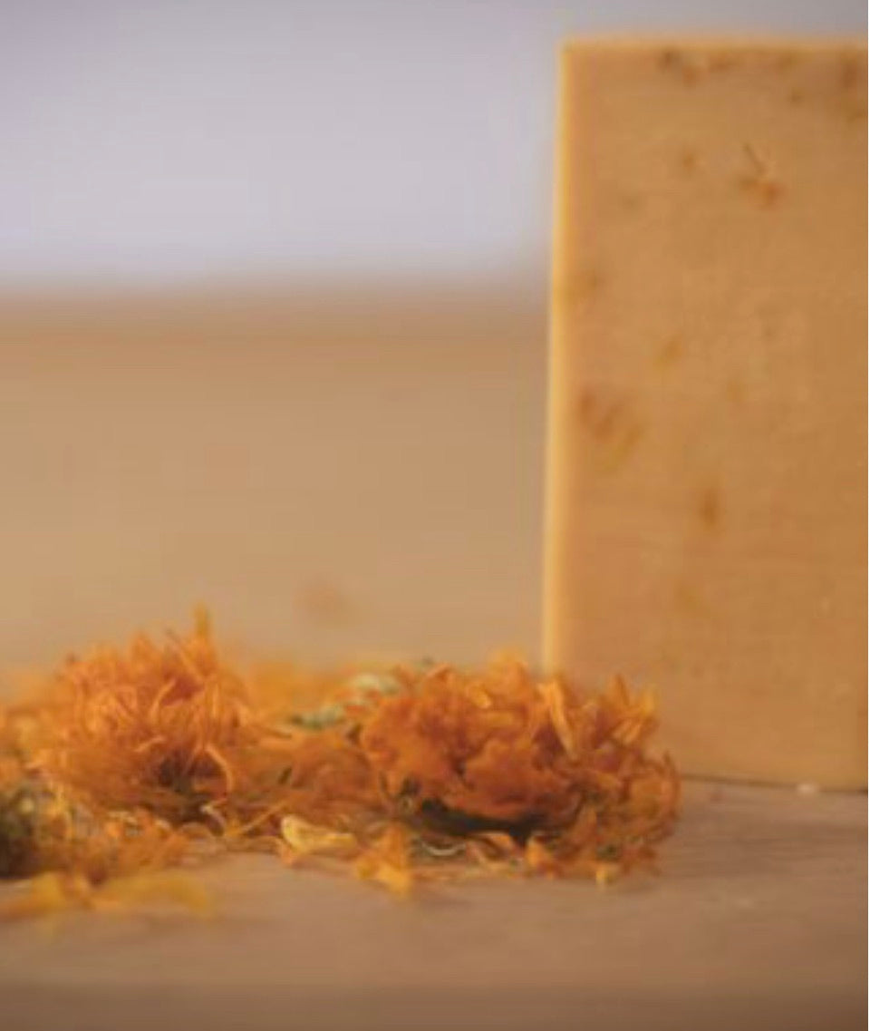 orange and calendula french soap bar