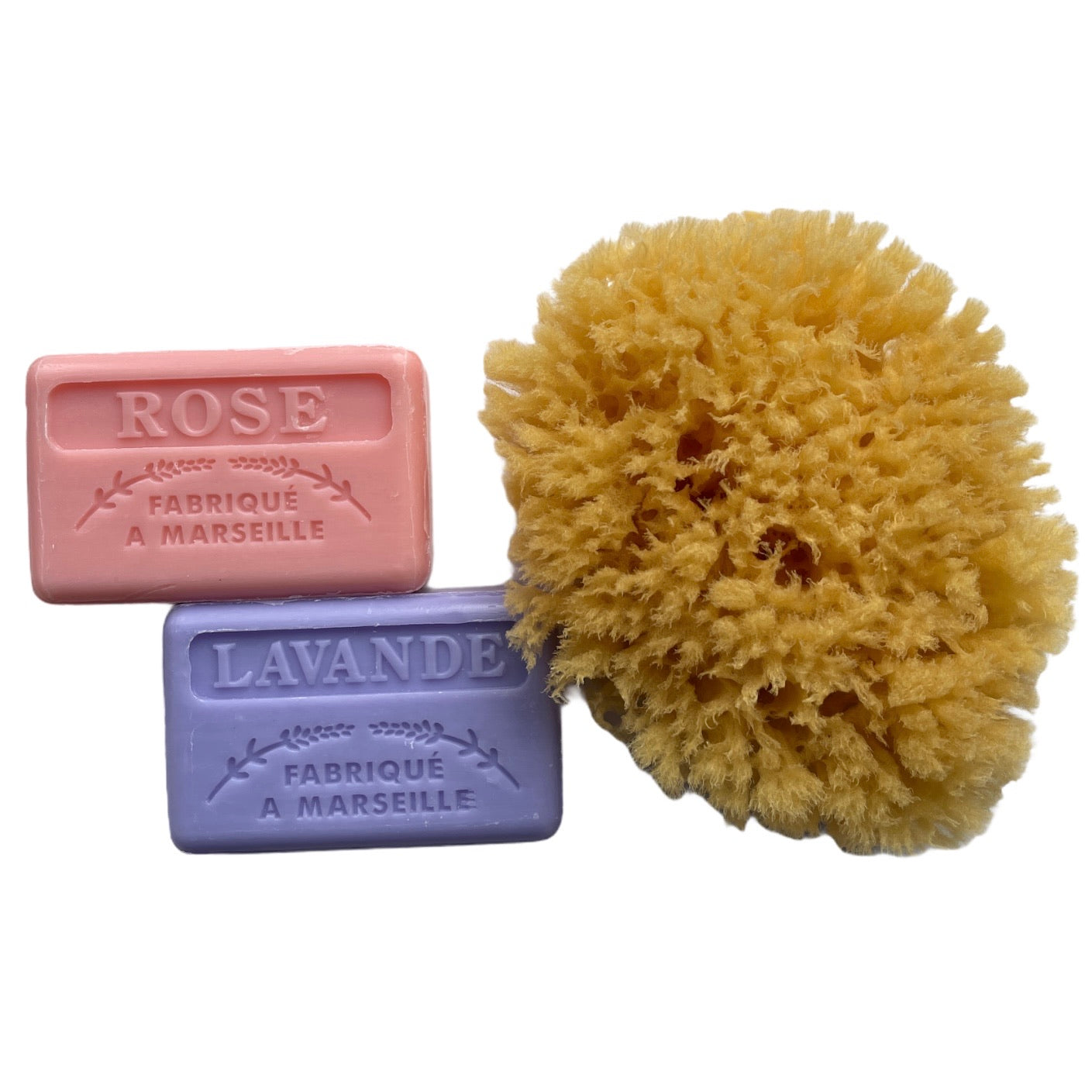 Natural Sea Sponge & French Soap Gift Set