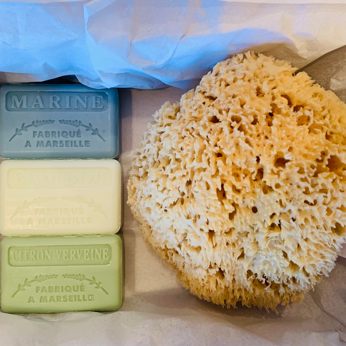 Luxury Natural Sponge and Soap Gift Set