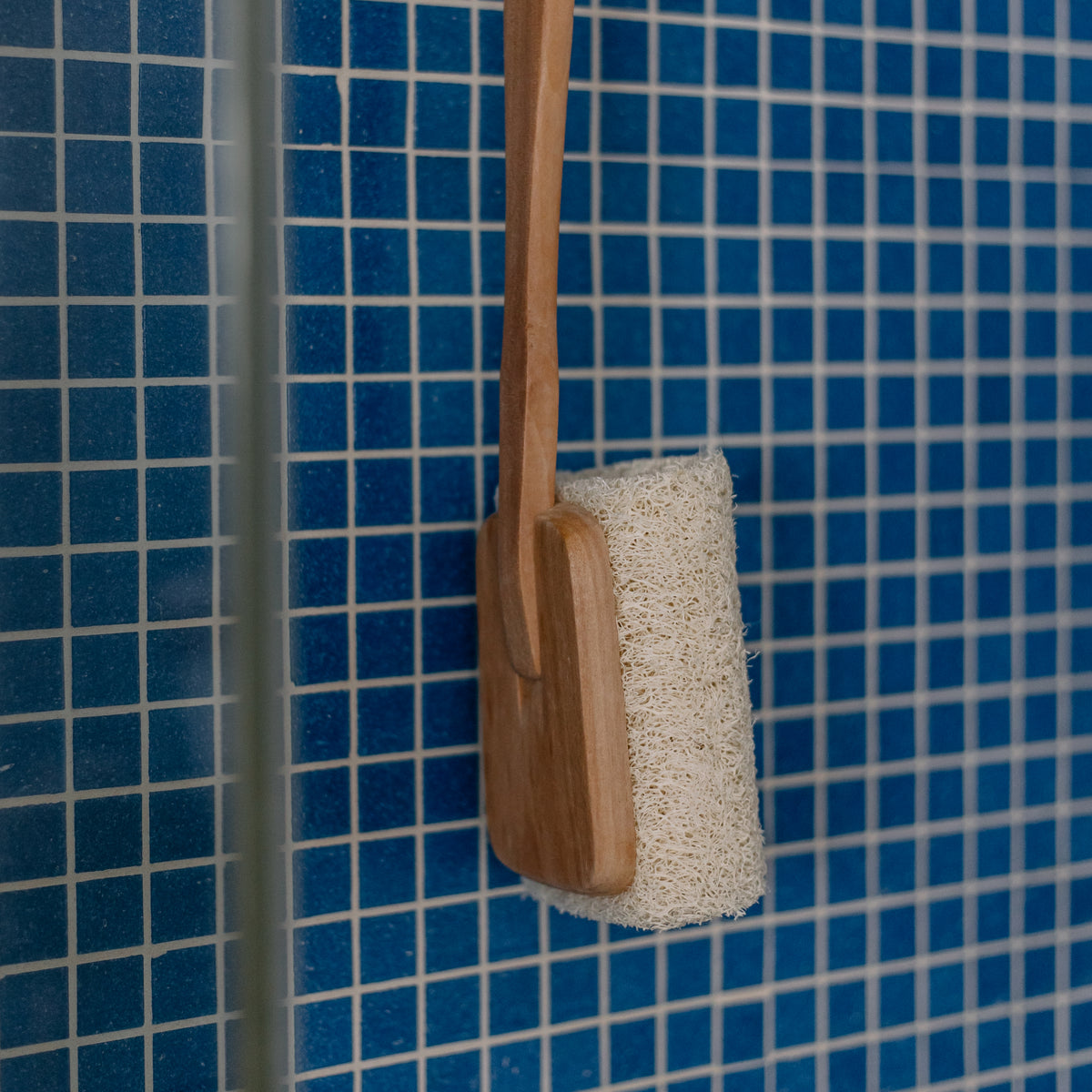 Luxury Long Handle Loofah Bath Brush