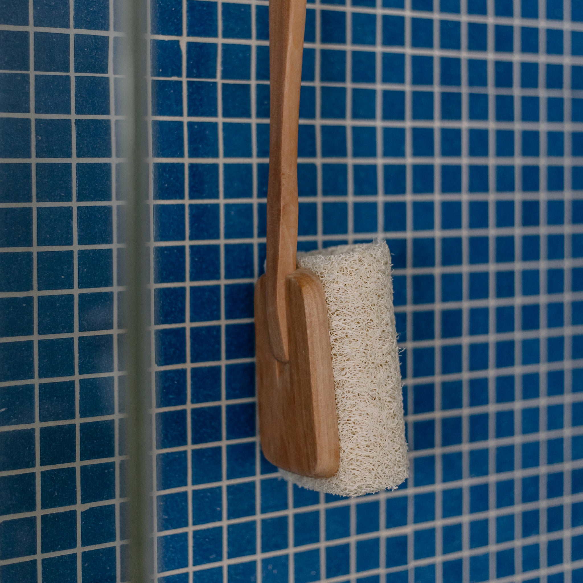 Loofah Sponge Back Scrubber with Long Wooden Handle - Wholesale Bamboo  toothbrushes