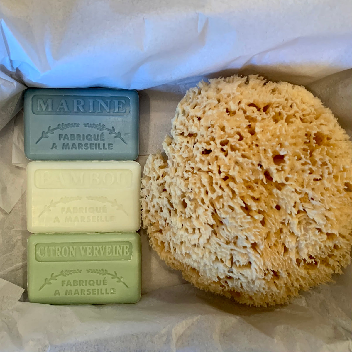 Luxury Natural Sponge and Soap Gift Set