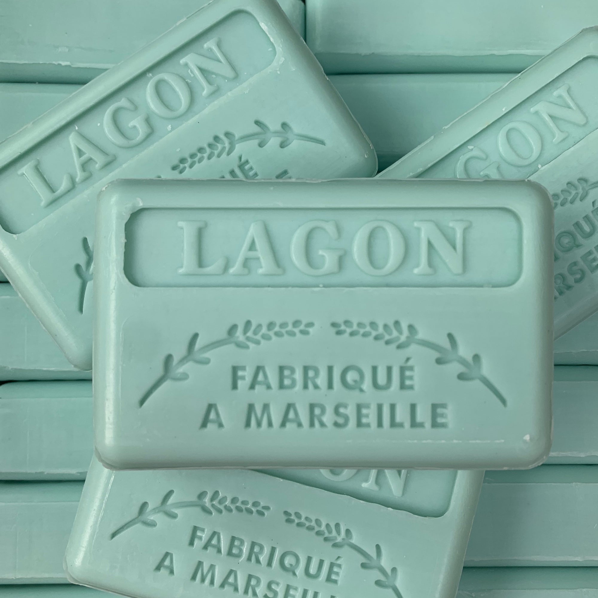 lagon french soap for lagoon